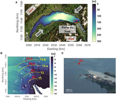 Tracing Unconfined Nearfield Spreading of a River Plume Interflow in a Large Lake (Lake Geneva): Hydrodynamics, Suspended Particulate Matter, and Associated Fluxes